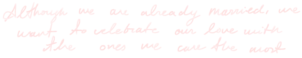 Although we are already married, we want to celebrate our love with the ones we care the most